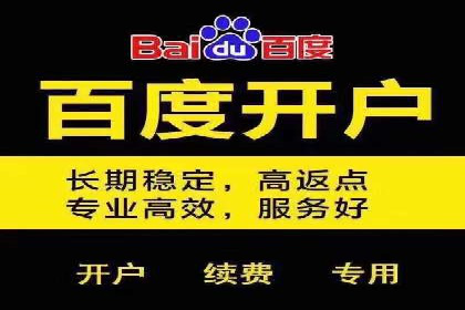 百度竞价推广运营策略调整：企业增长的新动力